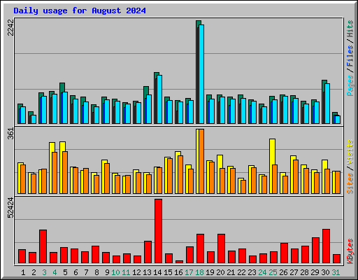 Daily usage for August 2024