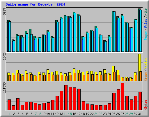 Daily usage for December 2024