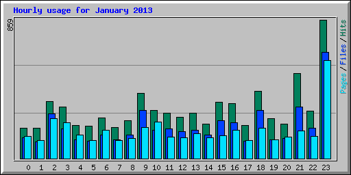 Hourly usage for January 2013
