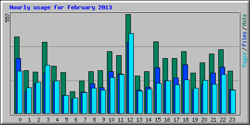 Hourly usage for February 2013