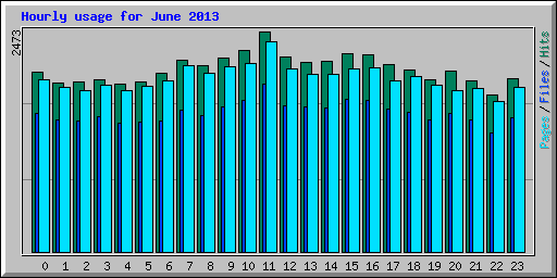 Hourly usage for June 2013