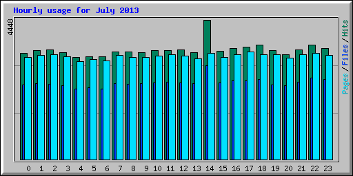 Hourly usage for July 2013