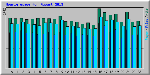 Hourly usage for August 2013
