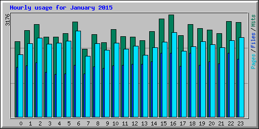 Hourly usage for January 2015