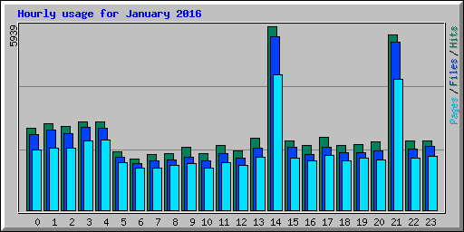 Hourly usage for January 2016