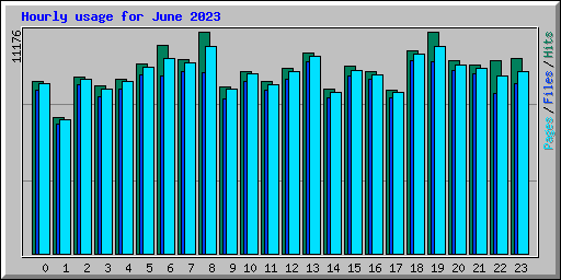 Hourly usage for June 2023