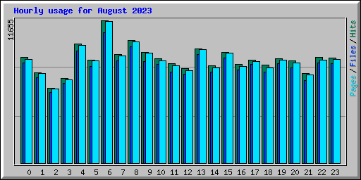 Hourly usage for August 2023