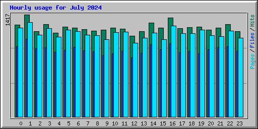Hourly usage for July 2024