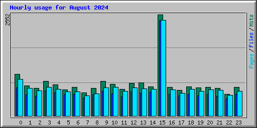 Hourly usage for August 2024
