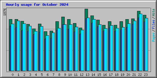 Hourly usage for October 2024