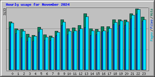 Hourly usage for November 2024