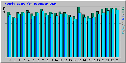 Hourly usage for December 2024