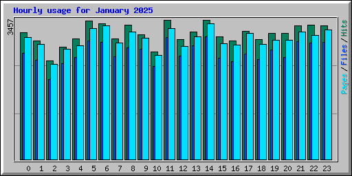 Hourly usage for January 2025
