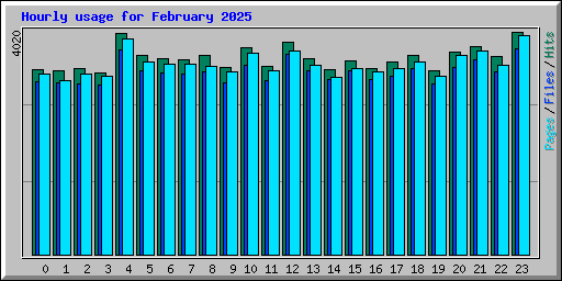 Hourly usage for February 2025