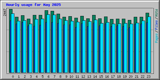 Hourly usage for May 2025