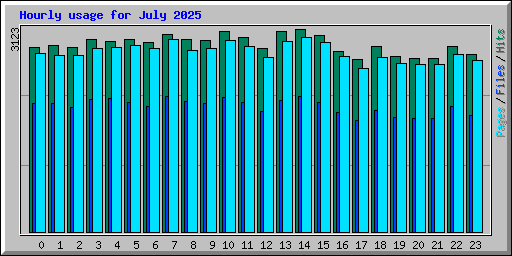Hourly usage for July 2025