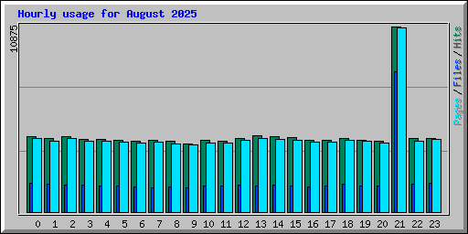 Hourly usage for August 2025