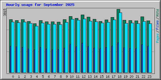 Hourly usage for September 2025