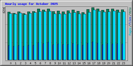 Hourly usage for October 2025