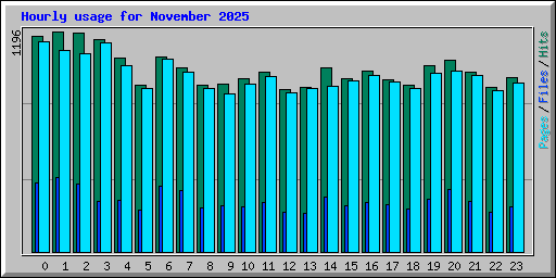 Hourly usage for November 2025